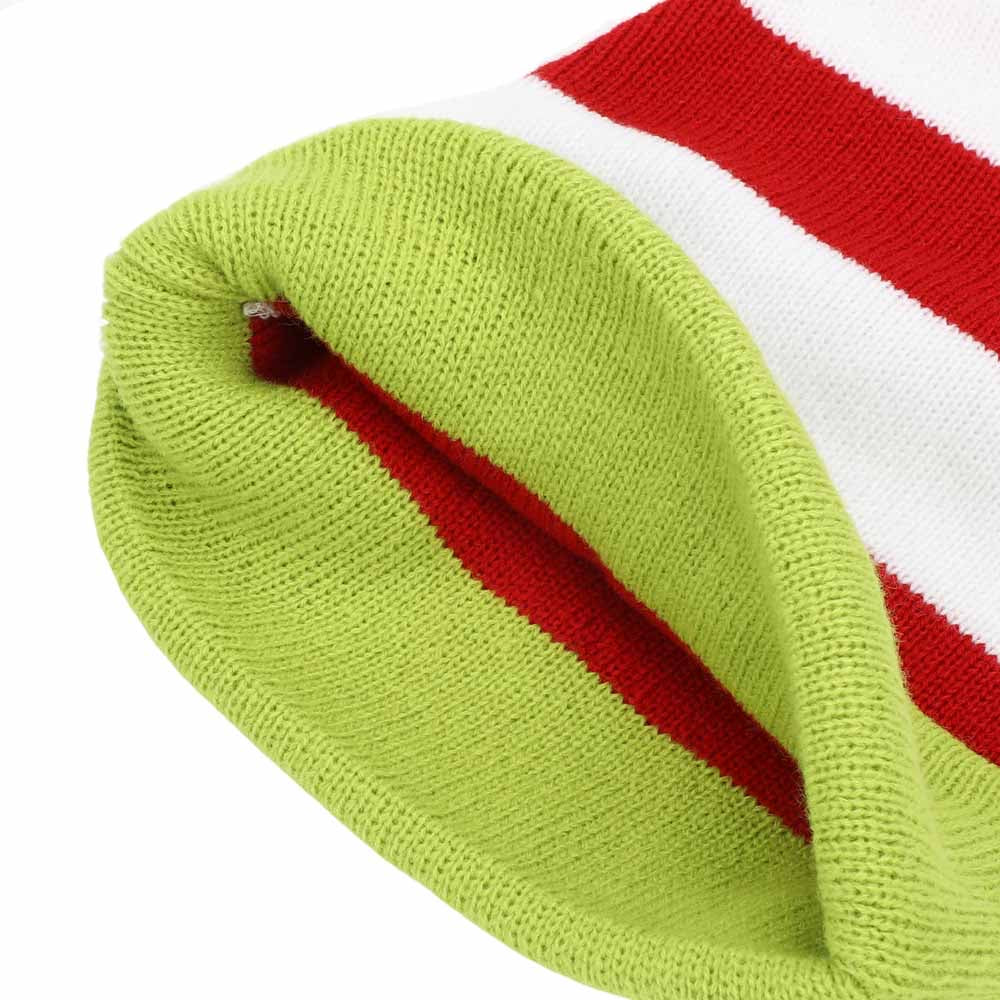 Dr. Seuss The Grinch Santa Hat