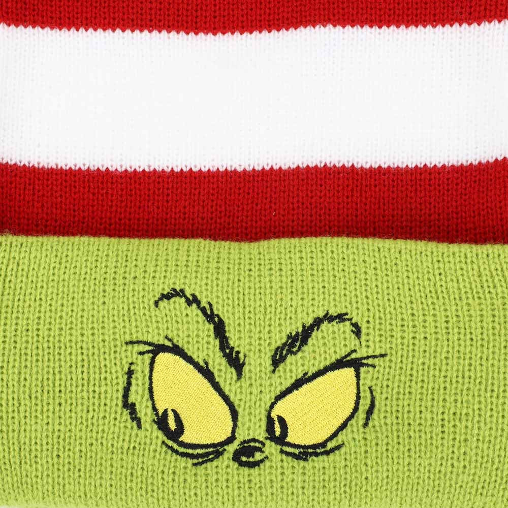 Dr. Seuss The Grinch Santa Hat