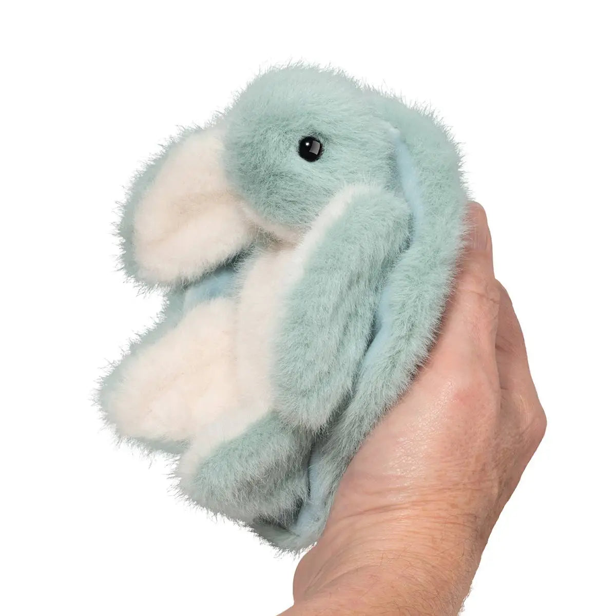 Lil’ Baby Sea Turtle