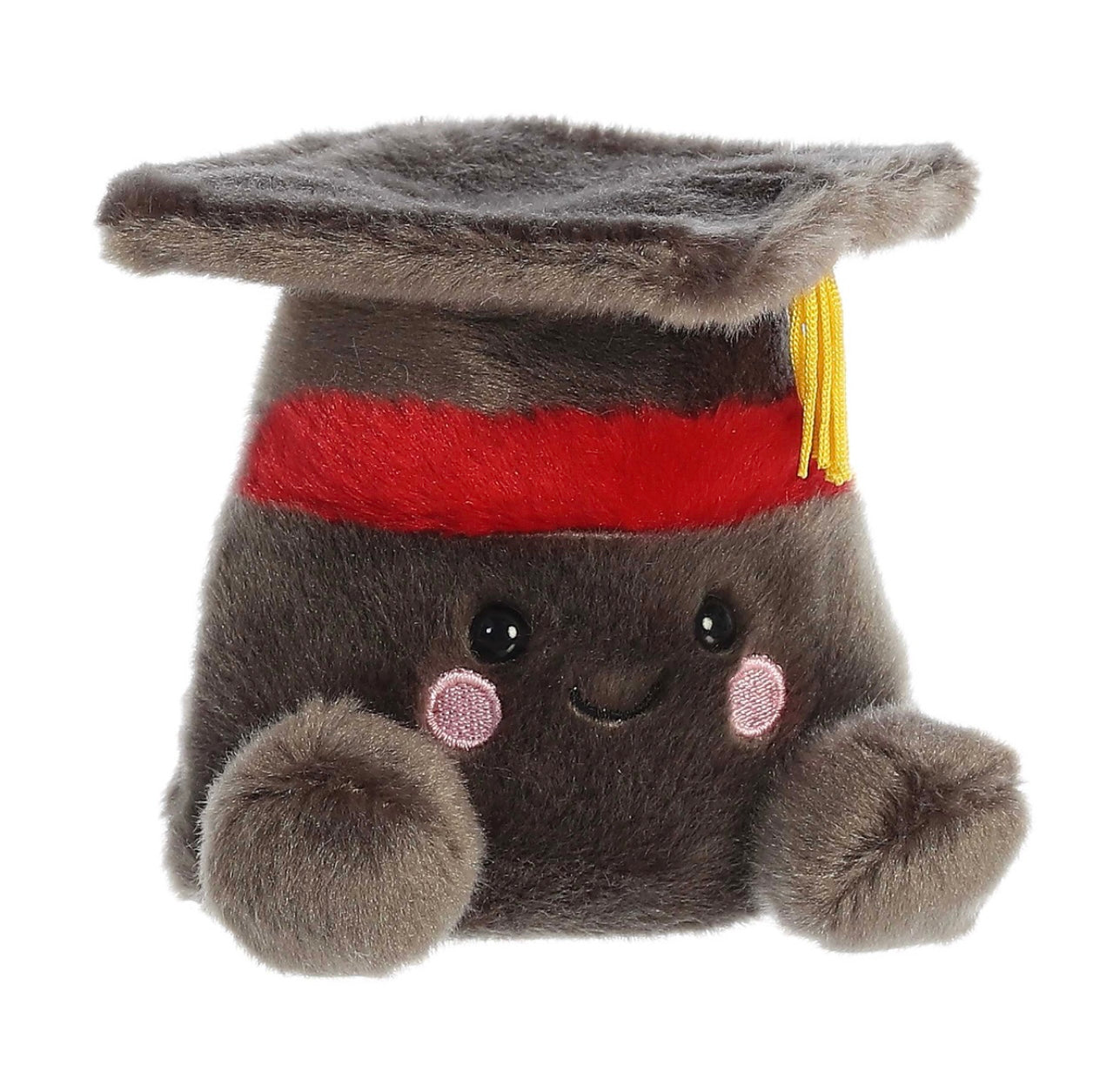 Palm Pals Scholarly Graduation Cap