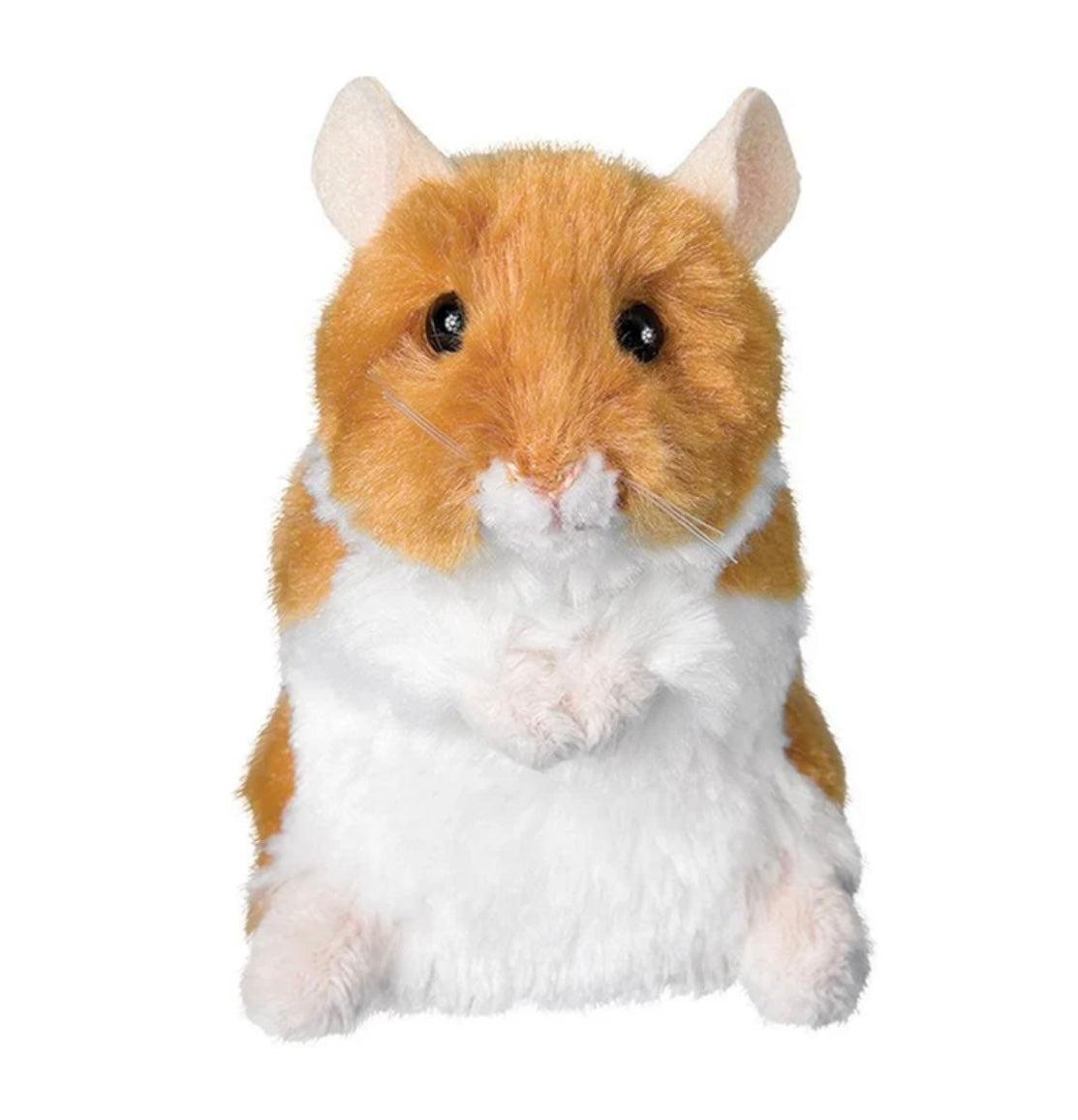 Douglas Brushy Hamster
