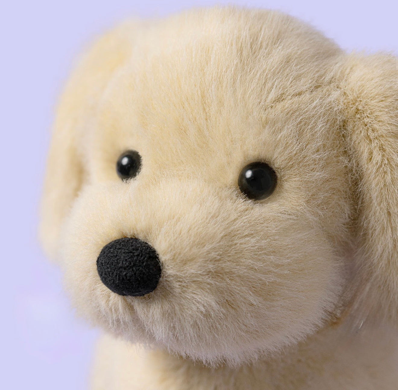 JellyCat Golden Puppy