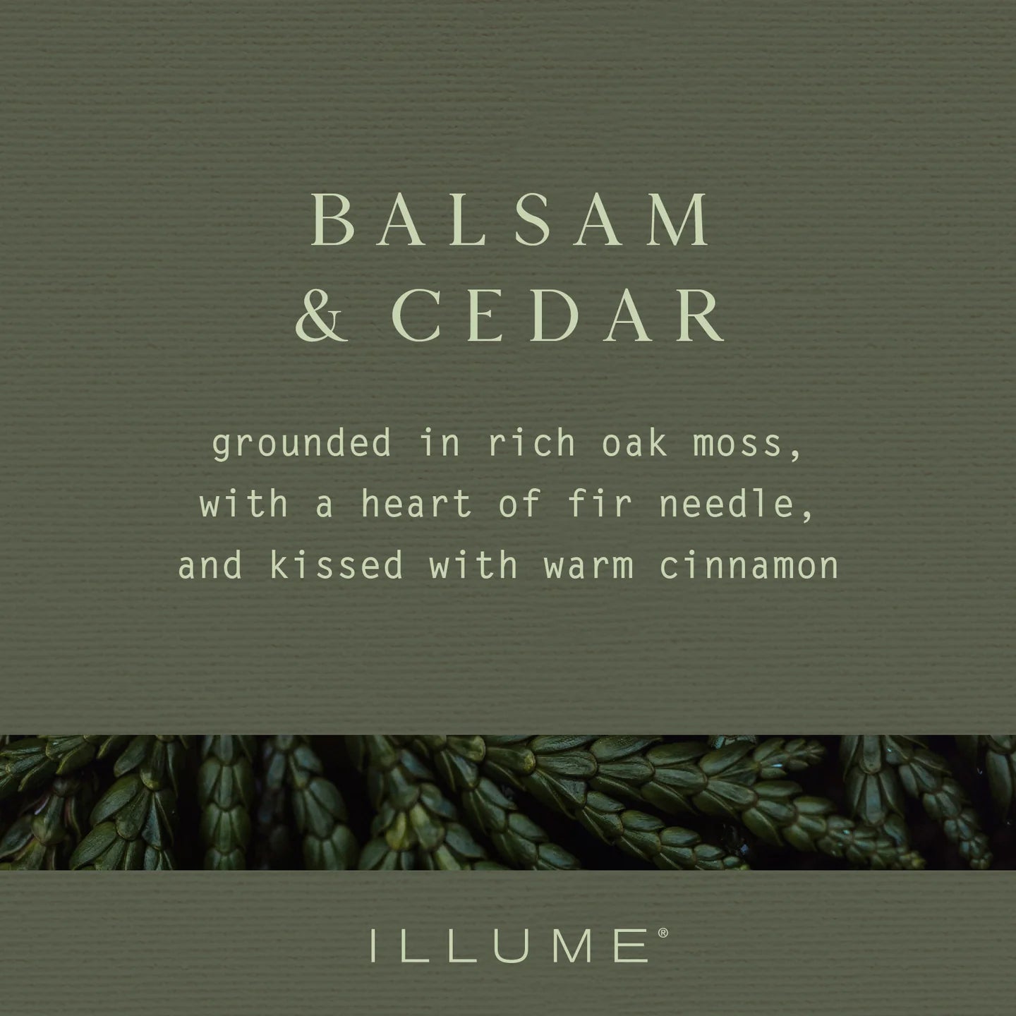 Illume Small Balsam & Cedar Candle