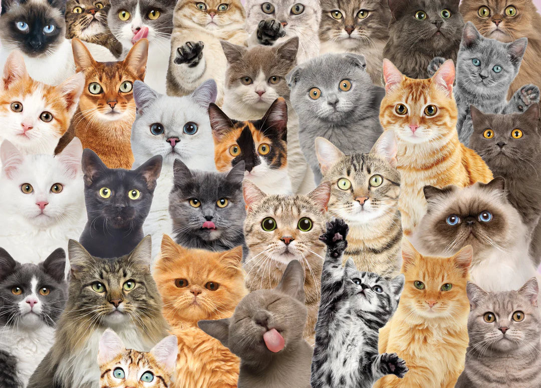 Peter Pauper All The Cats Puzzle 1000pc