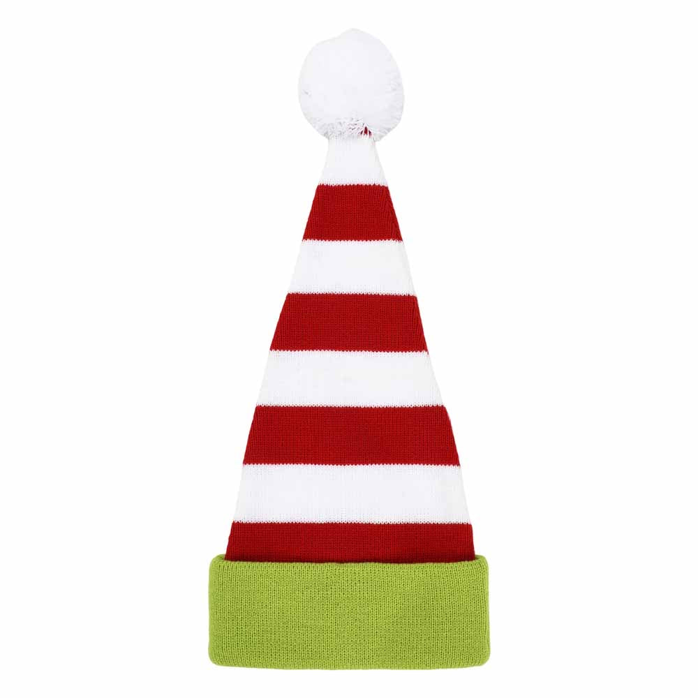 Dr. Seuss The Grinch Santa Hat