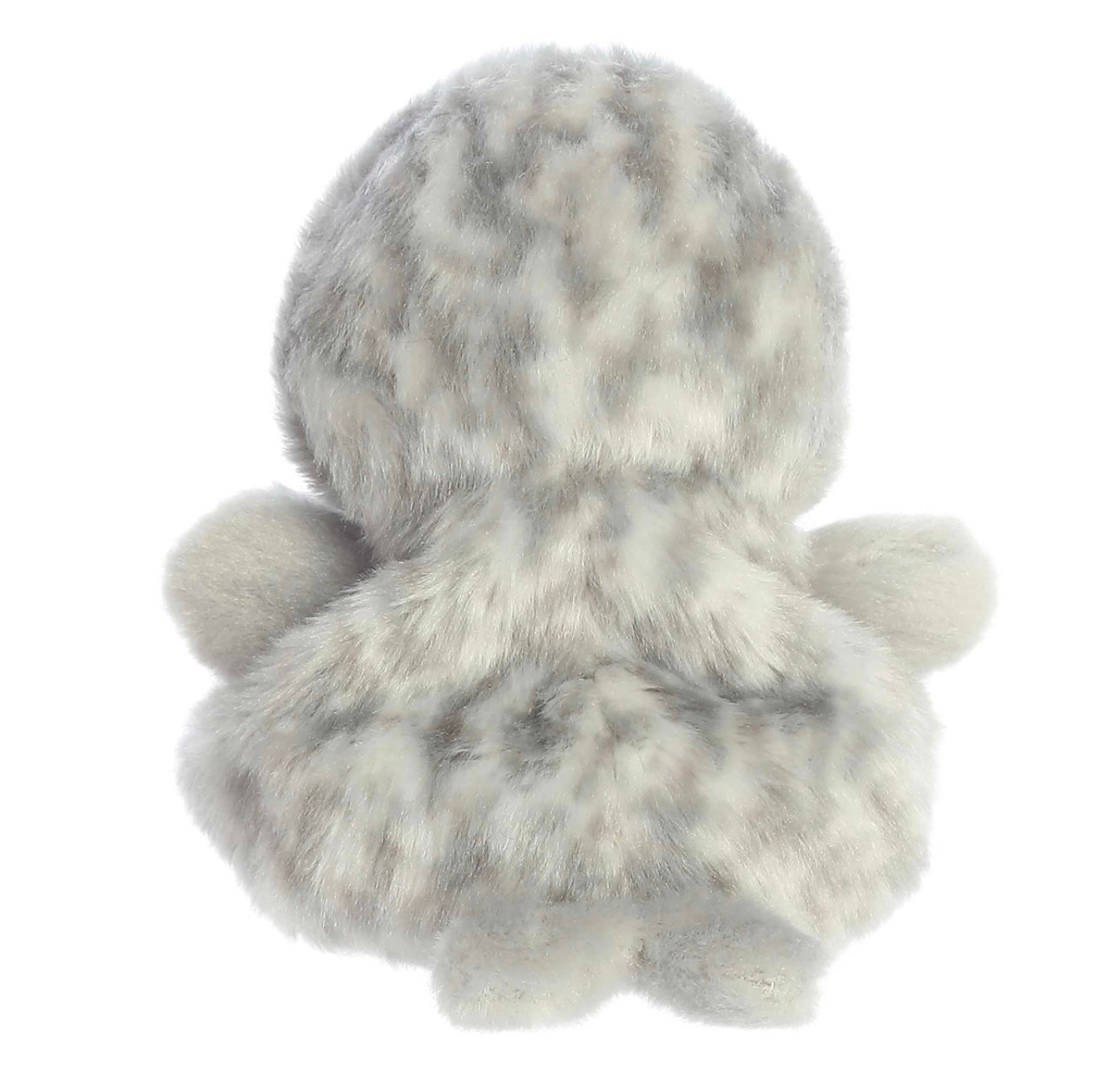 Palm Pals Marina Harbor Seal