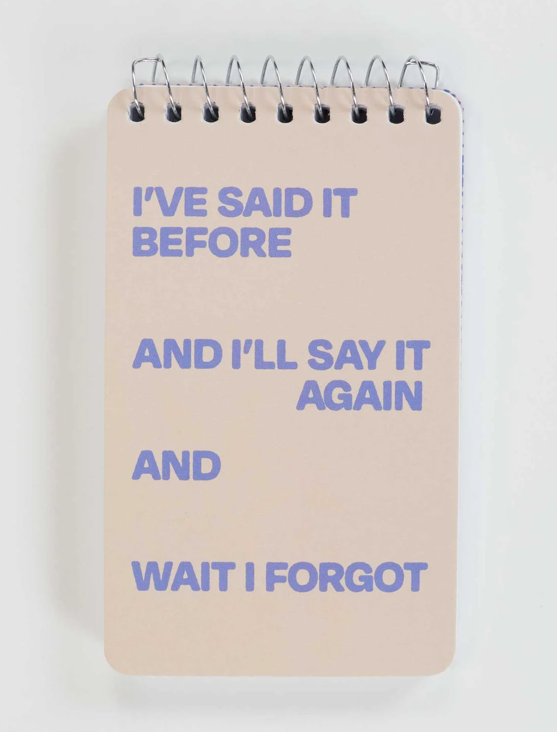 Blue Q 3x5 Spiral Notepad I Forgot