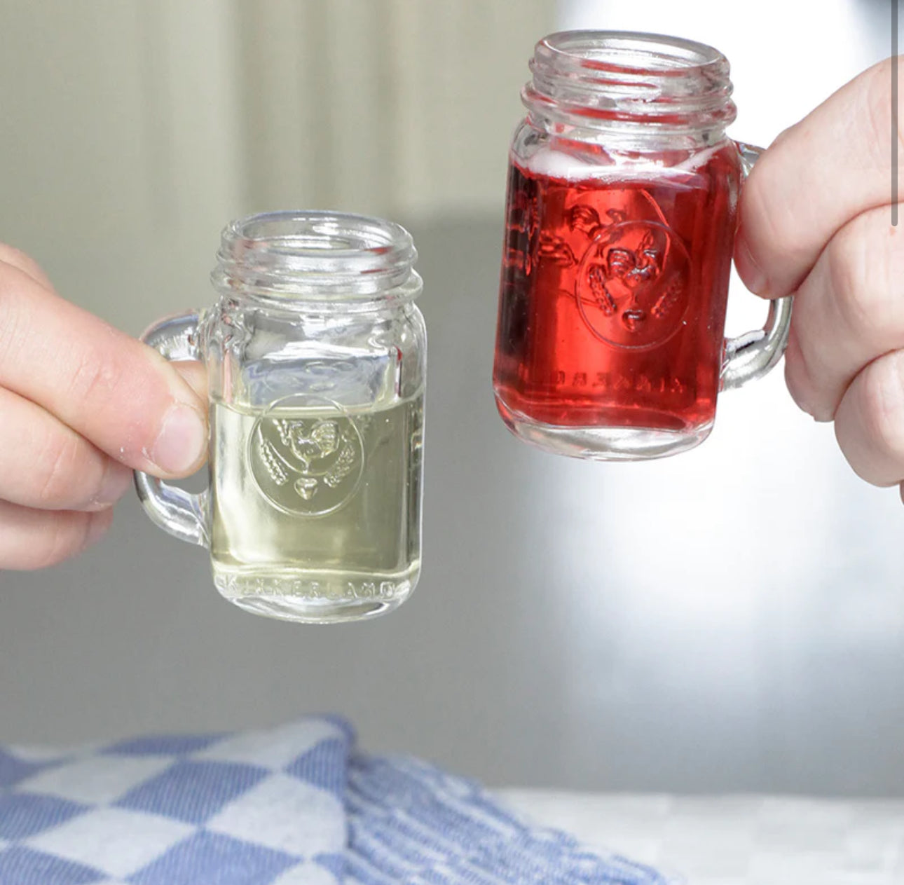 Kikkerland Mason Jar Shot Glasses