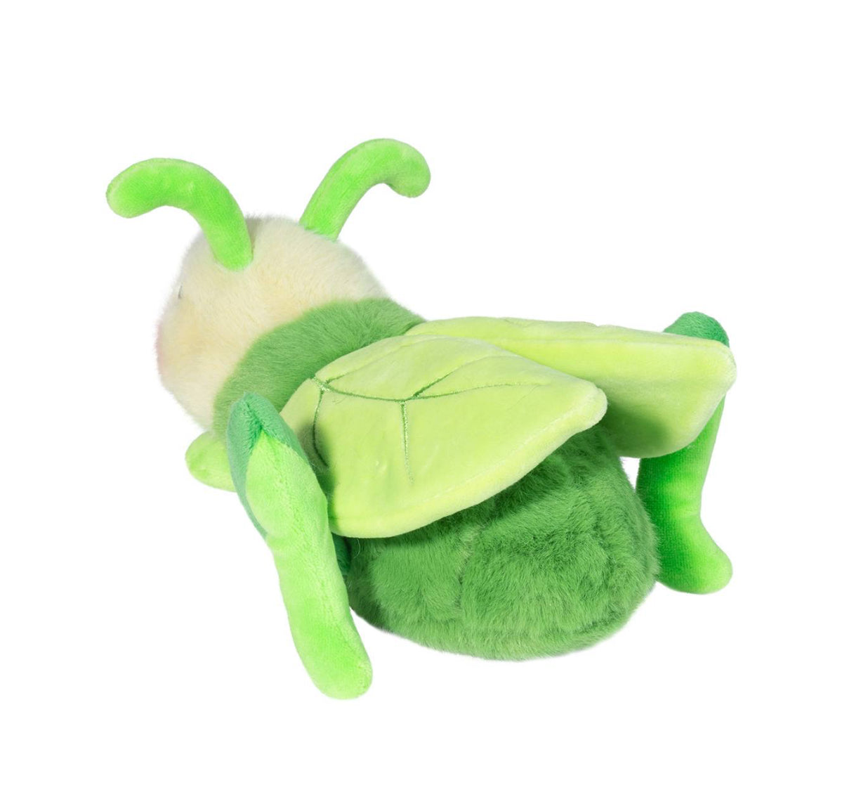 Douglas Kady Grasshopper