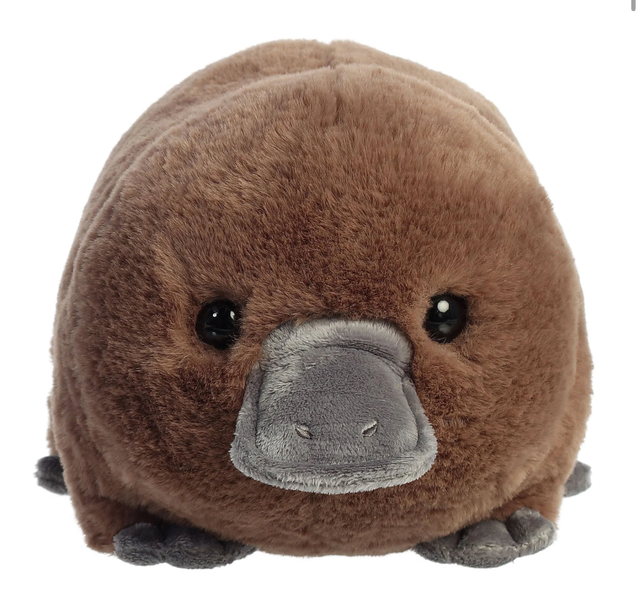 Spudsters Pongo Platypus