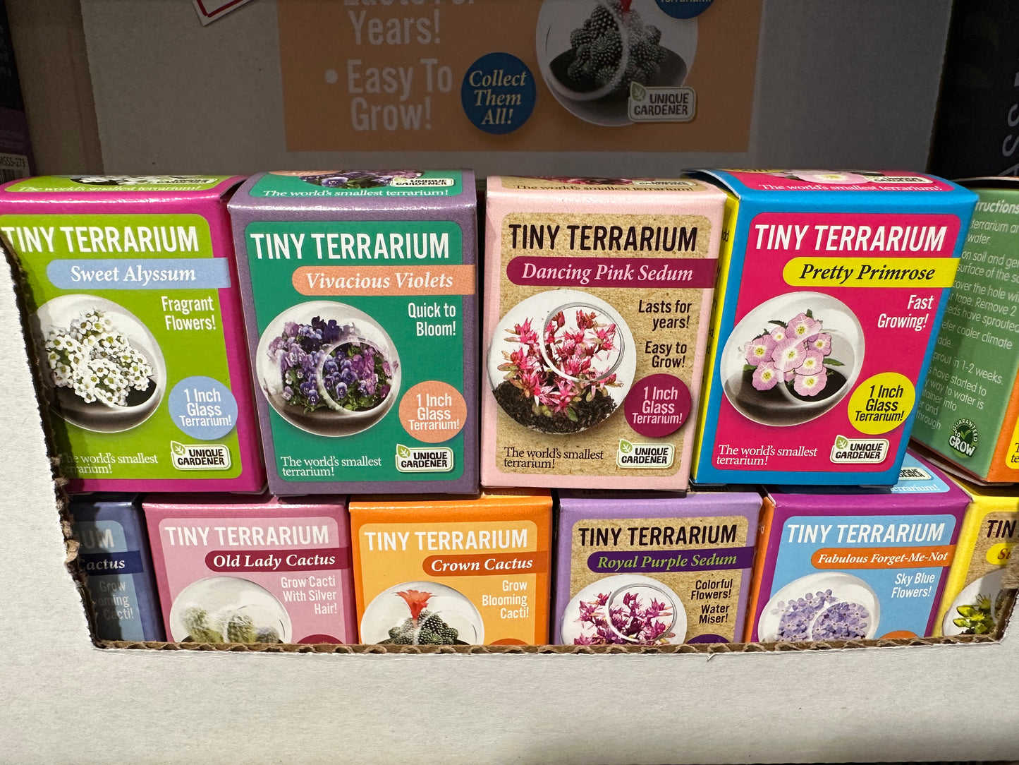 Tiny Terrarium Kit