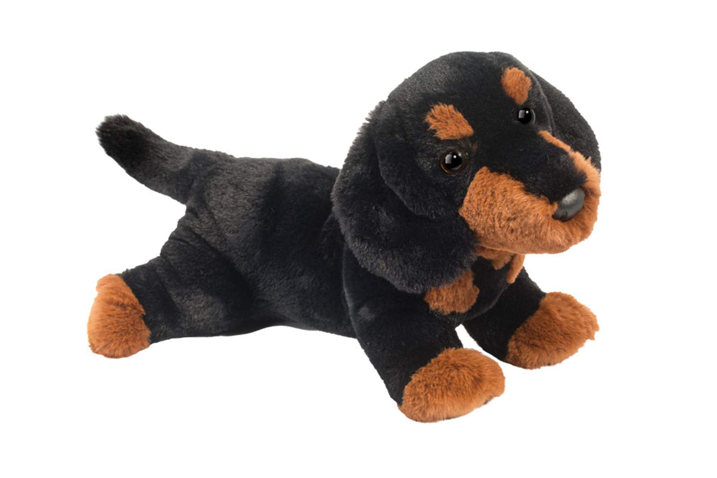Douglas Dottie Dachshund