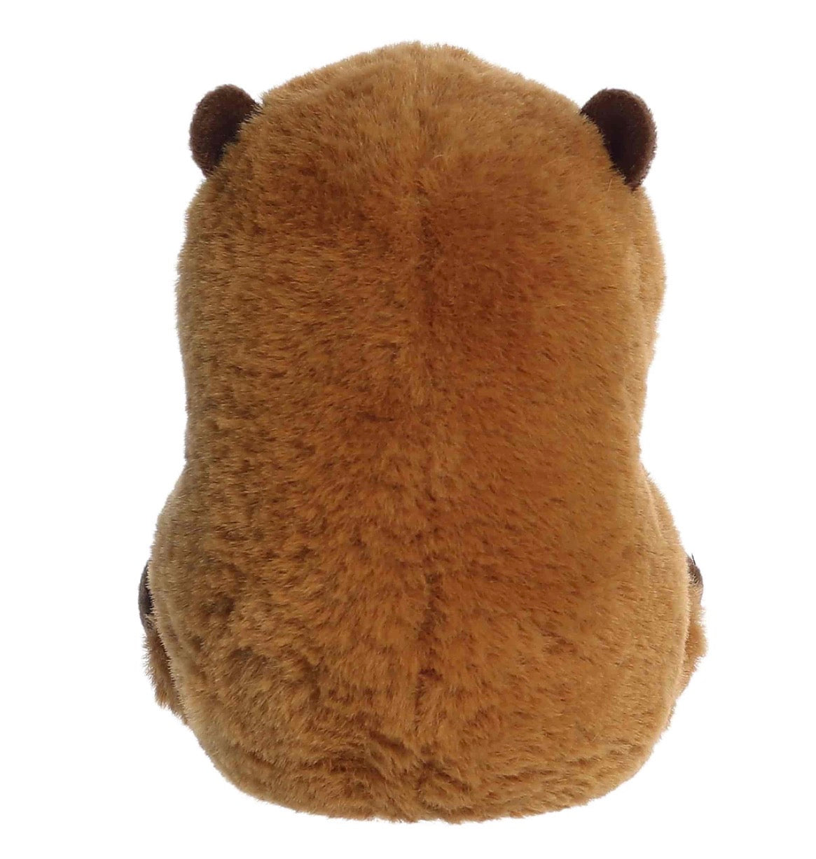 Rolly Pet Capybara
