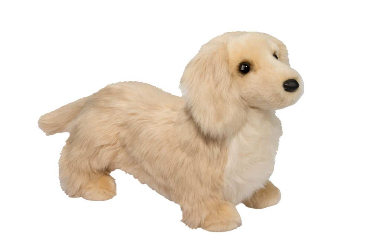 Douglas Golden Dachsund