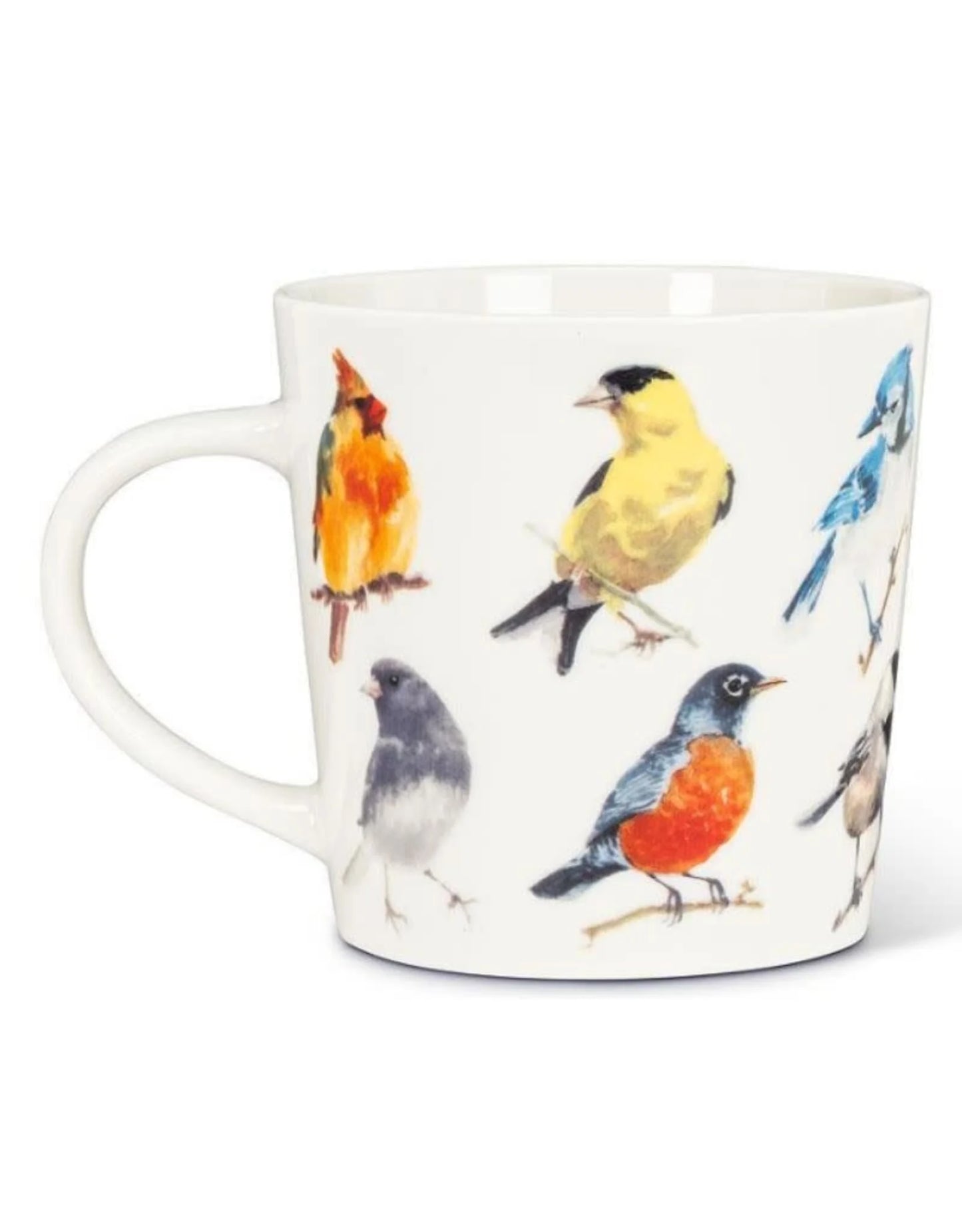 North American Birds Mug