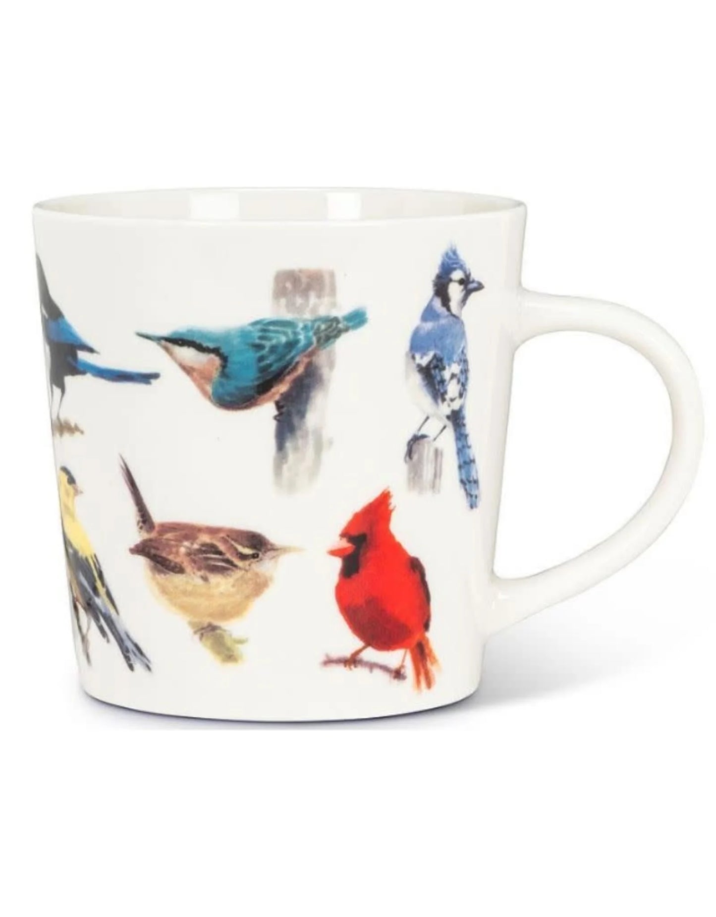 North American Birds Mug