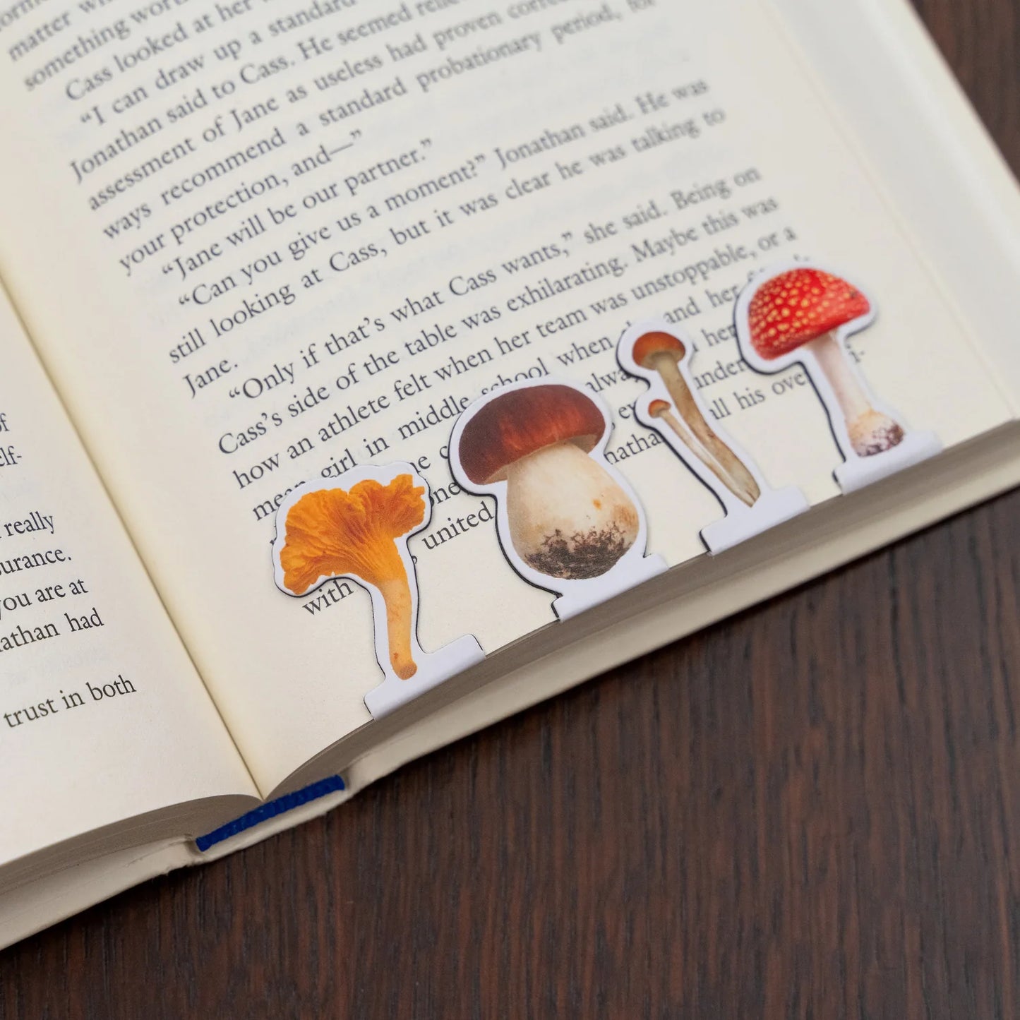 Kikkerland Magnetic Mushrooms Bookmark
