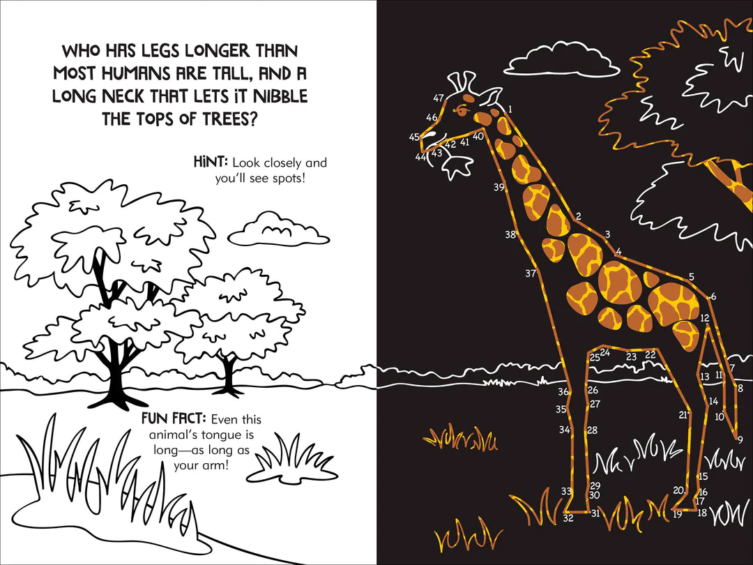 Scratch & Sketch Dot to Dot Animals