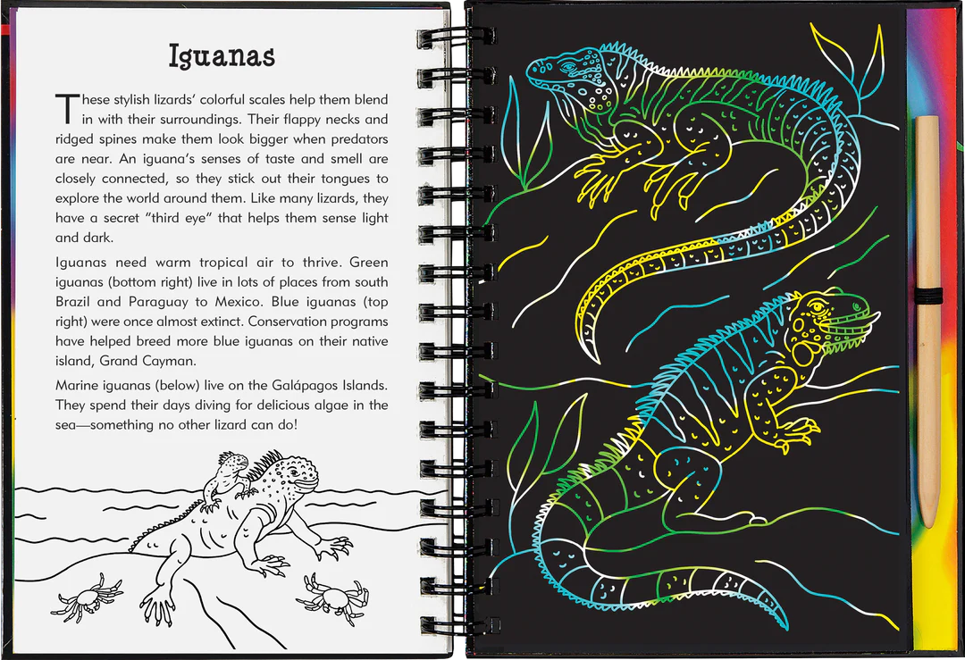 Scratch & Sketch Reptiles