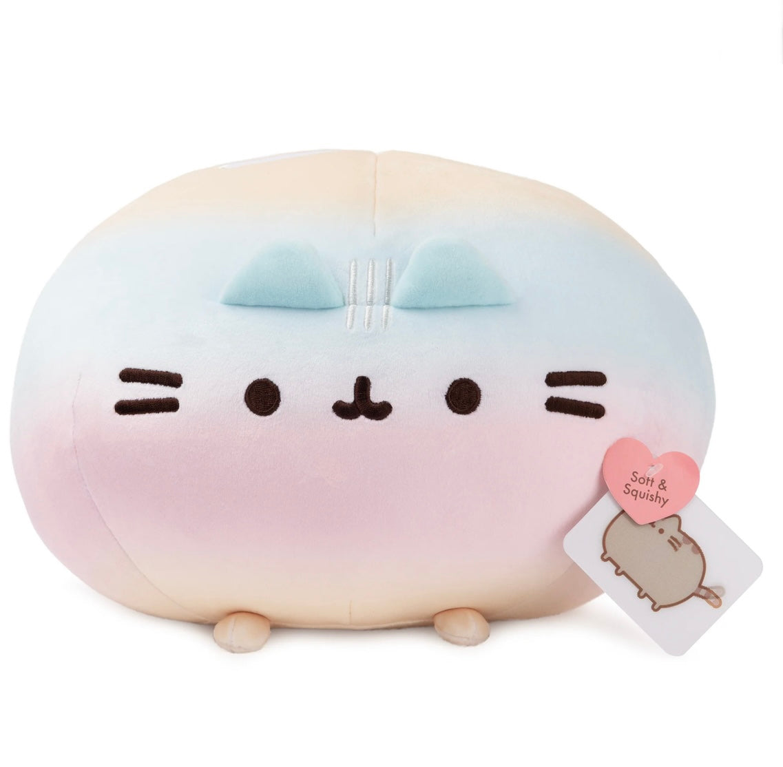 Pusheen Rainbow Round Squisheen