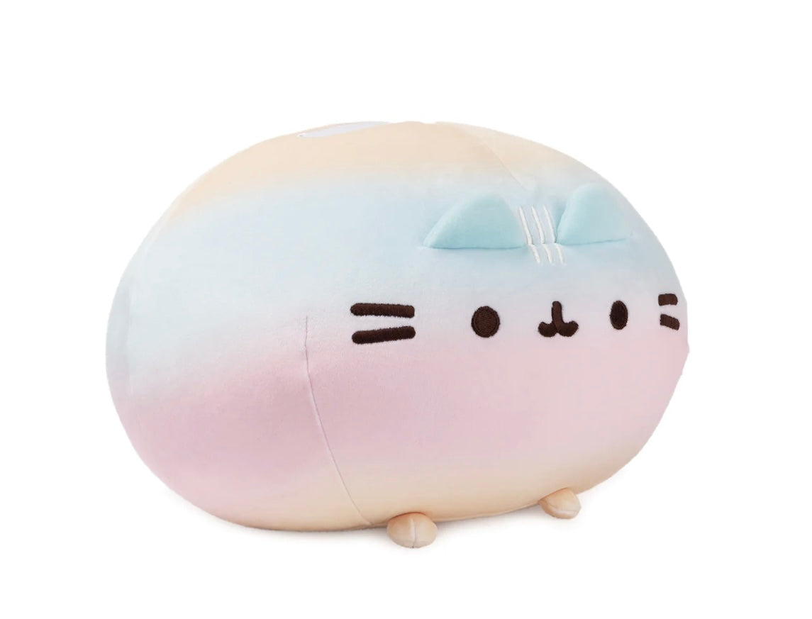 Pusheen Rainbow Round Squisheen