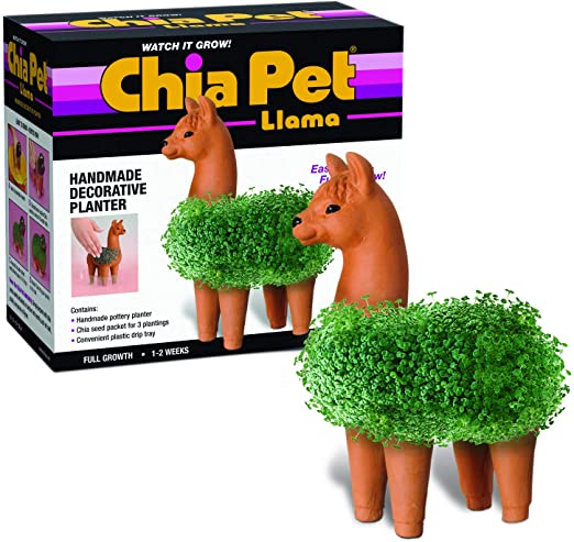 Chia Pet Assorted Styles