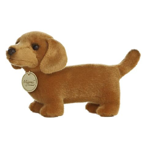Aurora Miyoni Dachshund