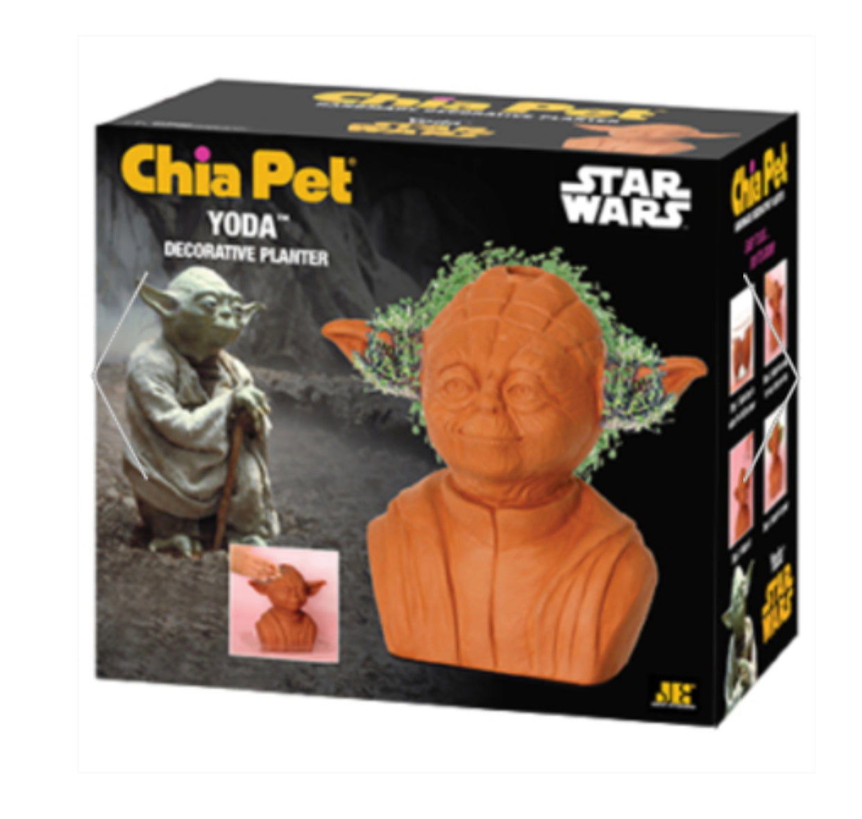 Chia Pet Assorted Styles