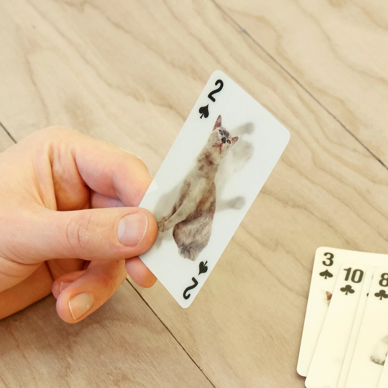 Kikkerland 3D Cat Playing Cards