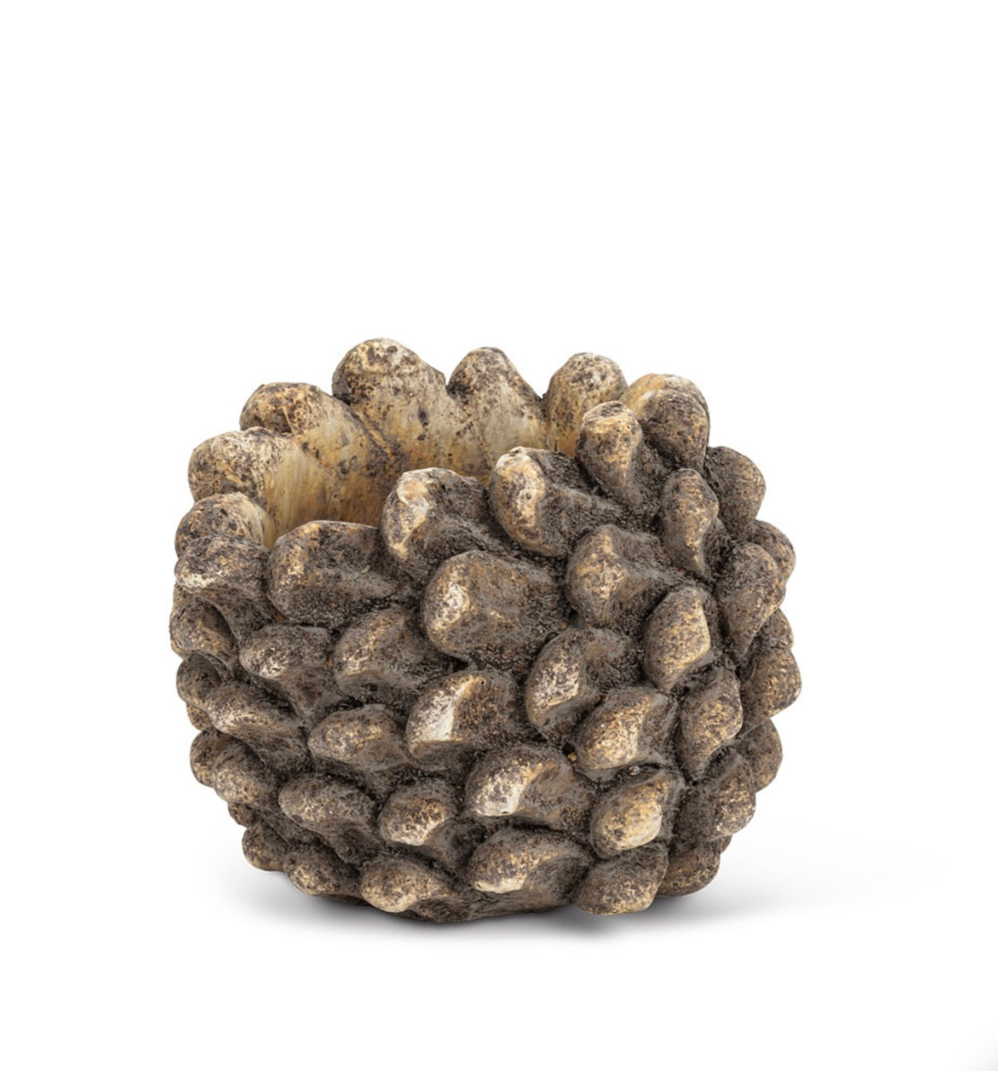 Pinecone Planter