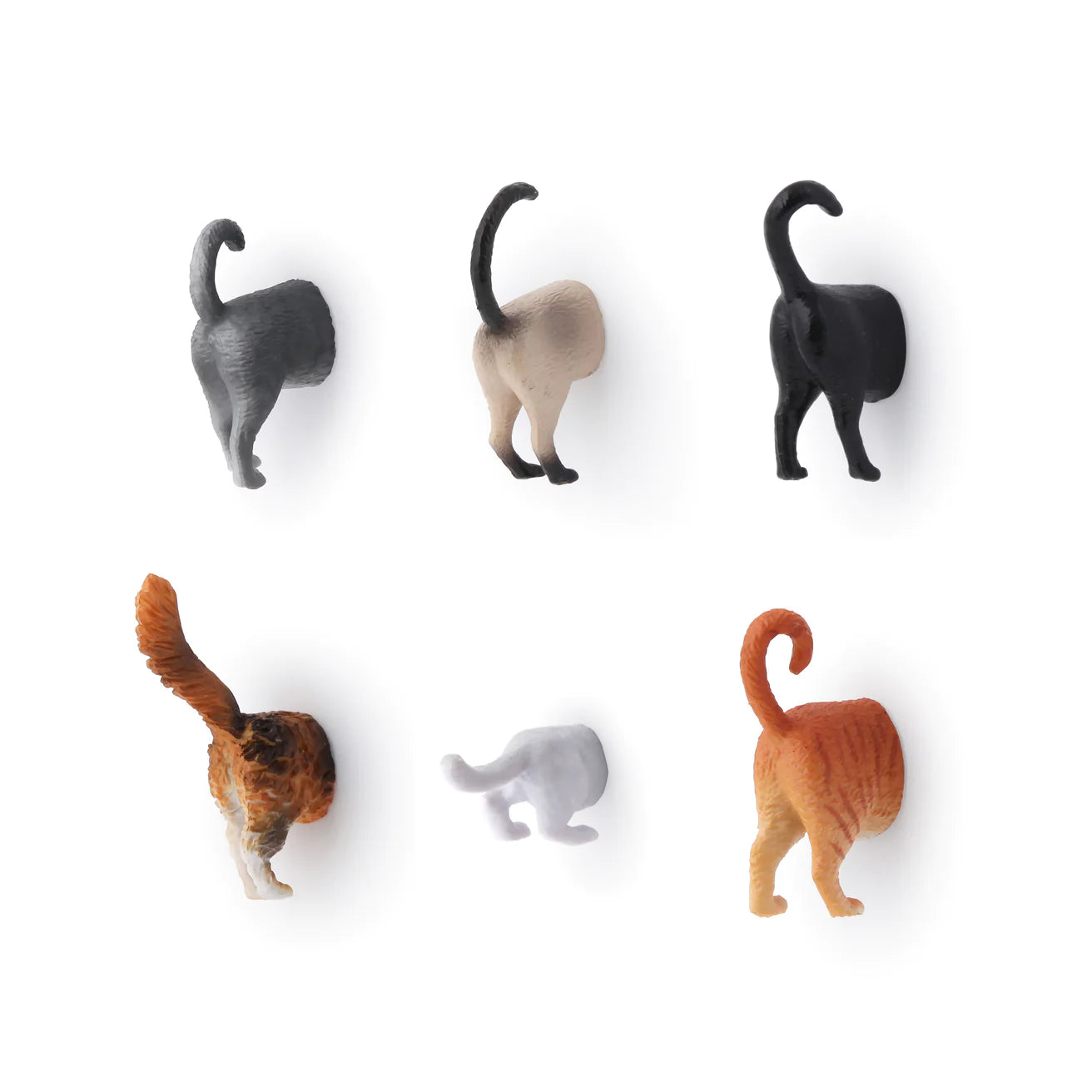 Kikkerland Cat Butt Magnets Set Of 6