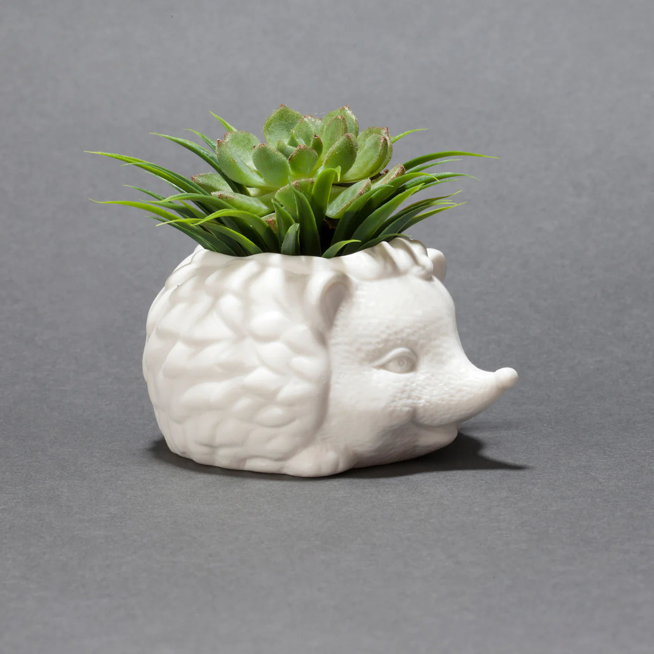 Hedgehog Ceramic Planter