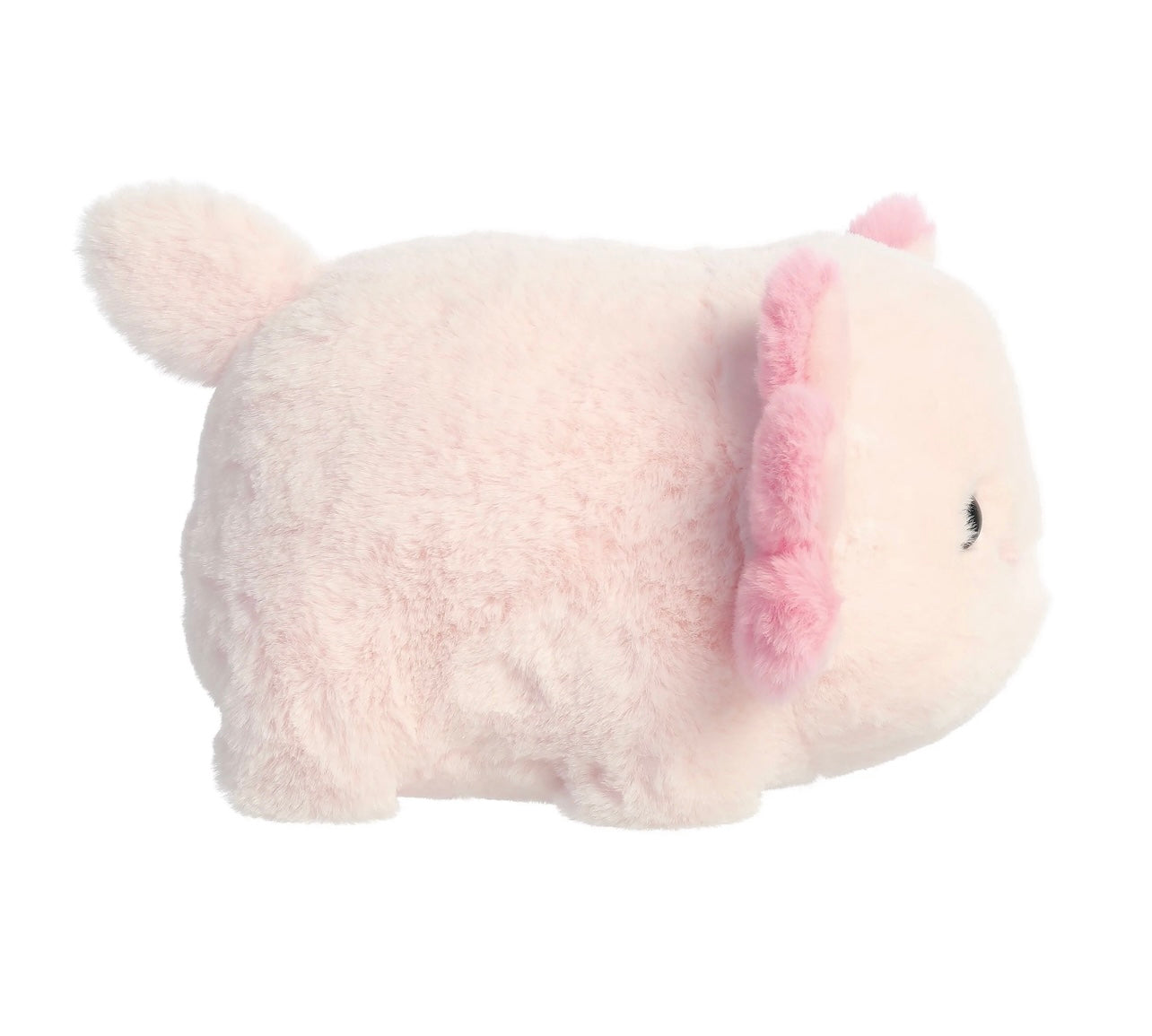 Spudsters Axel Axolotl