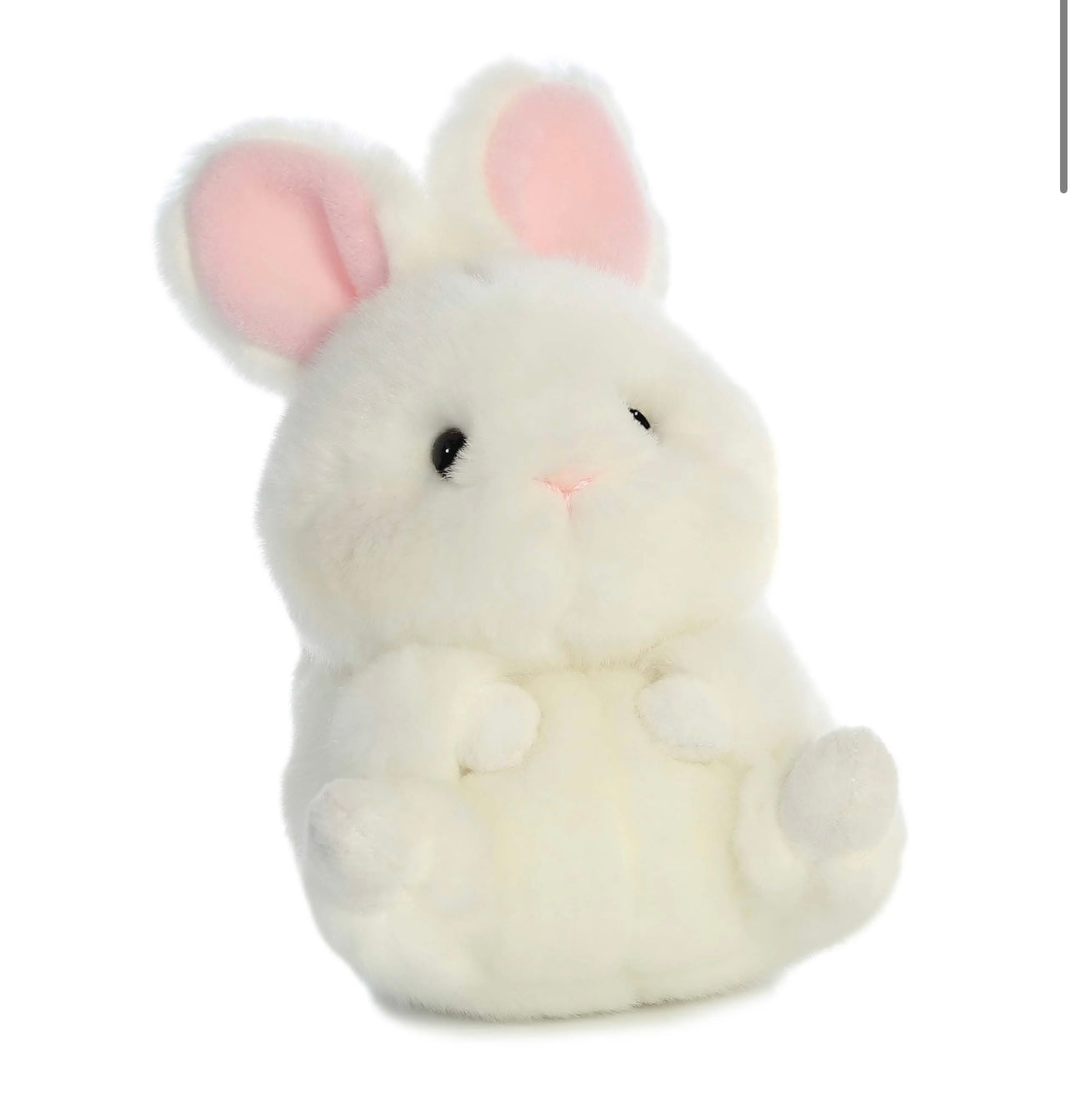 Rolly Pets Bunbun Bunny