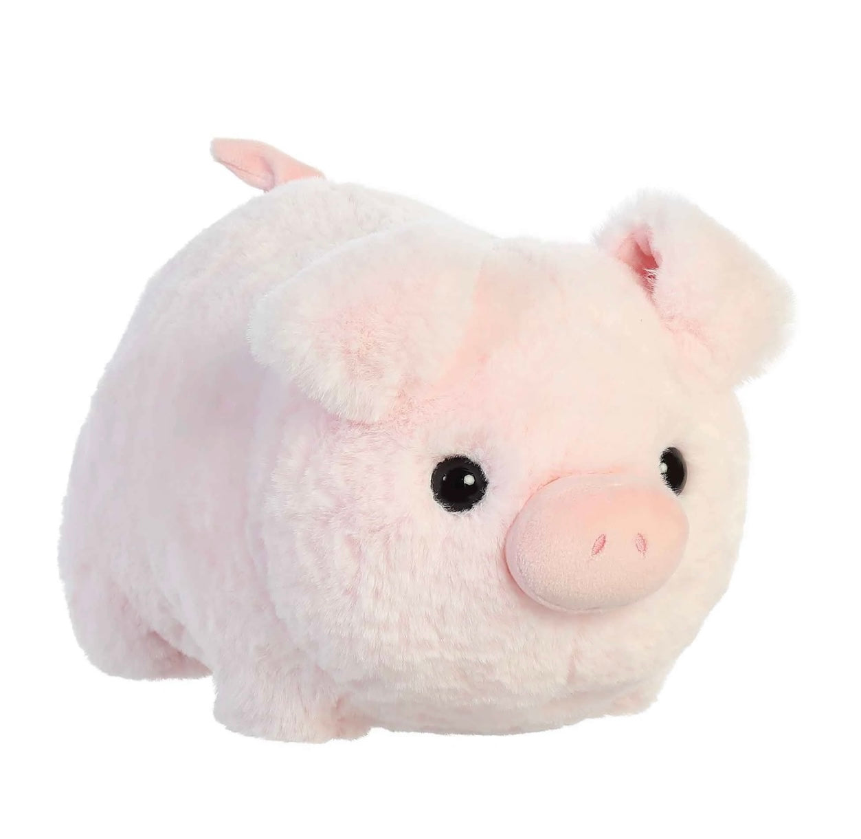 Spudsters Cutie Pig