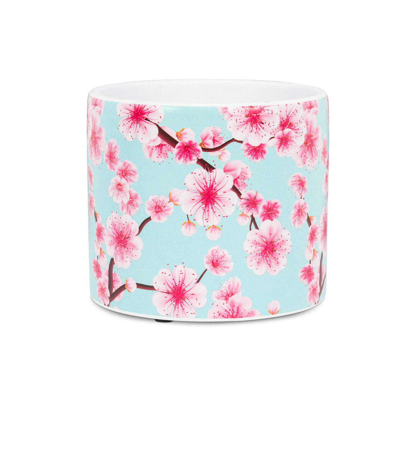 Cherry Blossom Planter