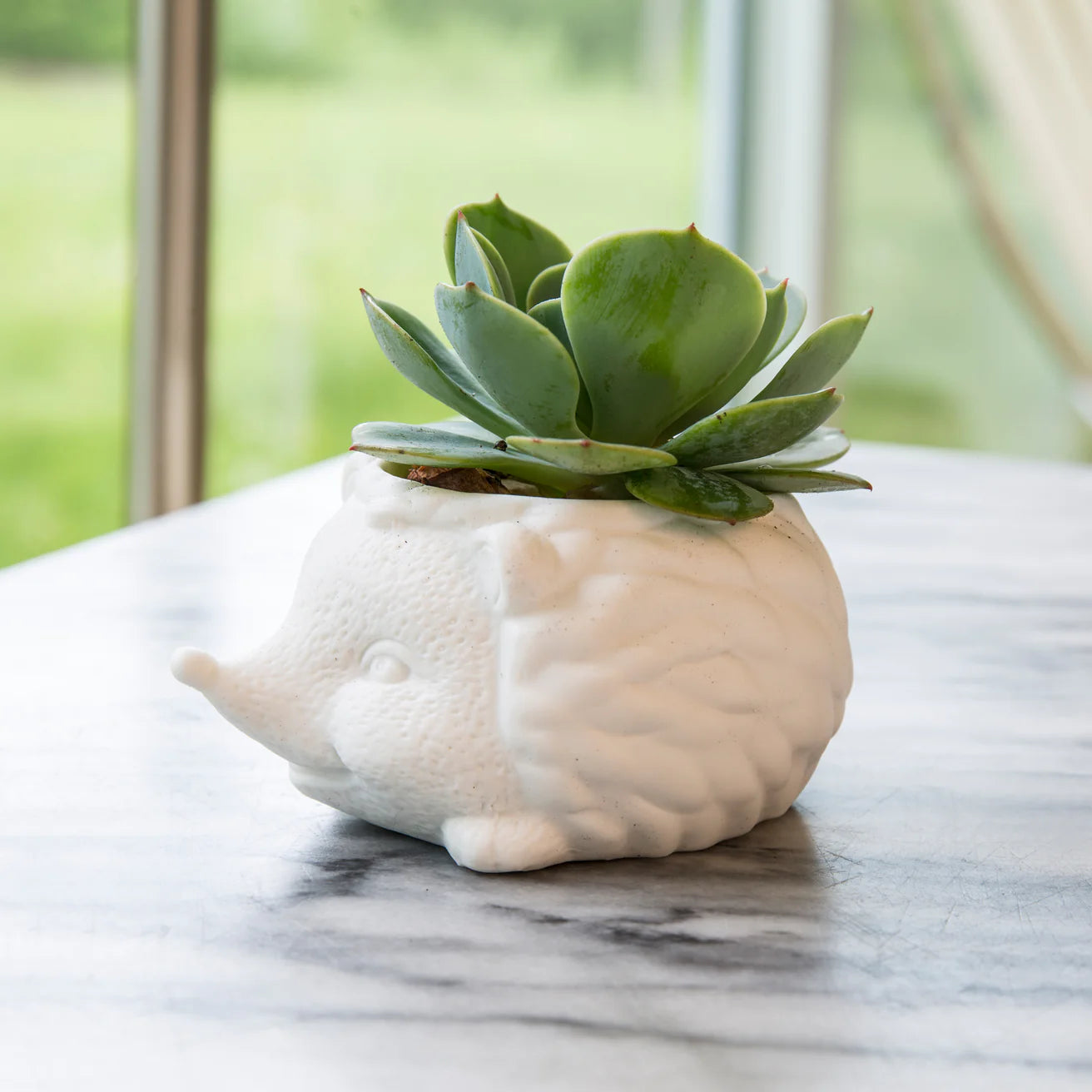 Hedgehog Ceramic Planter