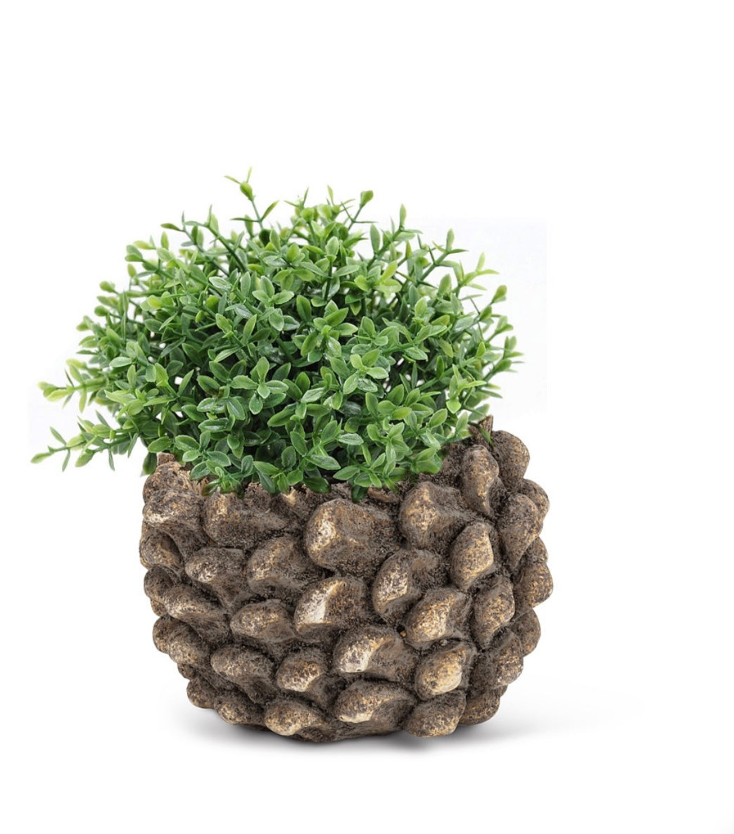 Pinecone Planter