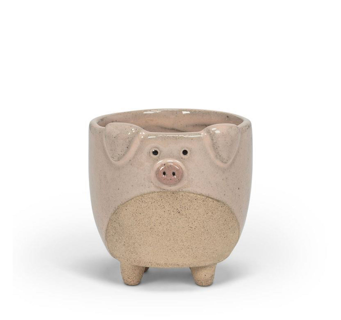 Pig Planter