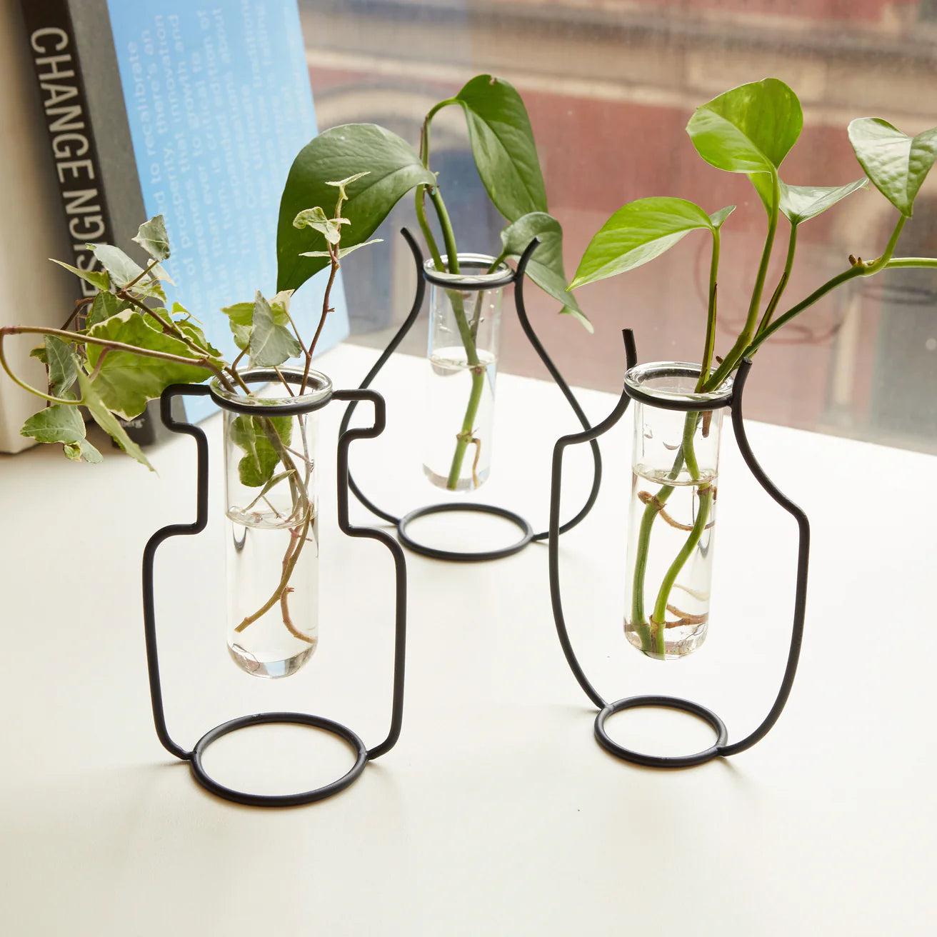 Kikkerland Geo Vase Propagation Station