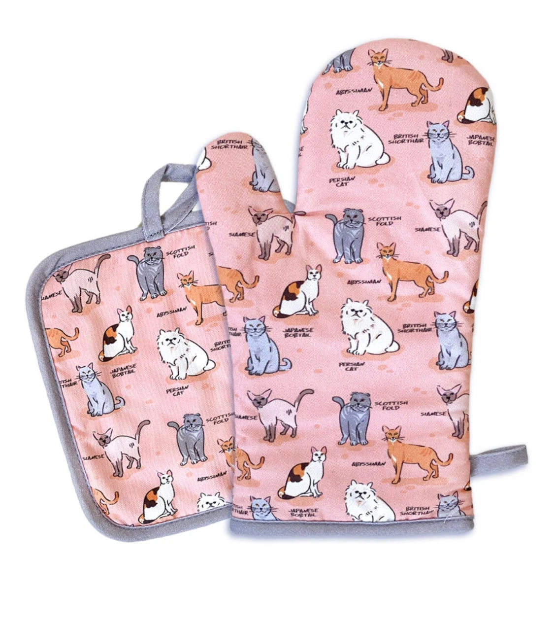 Oven Mitt set