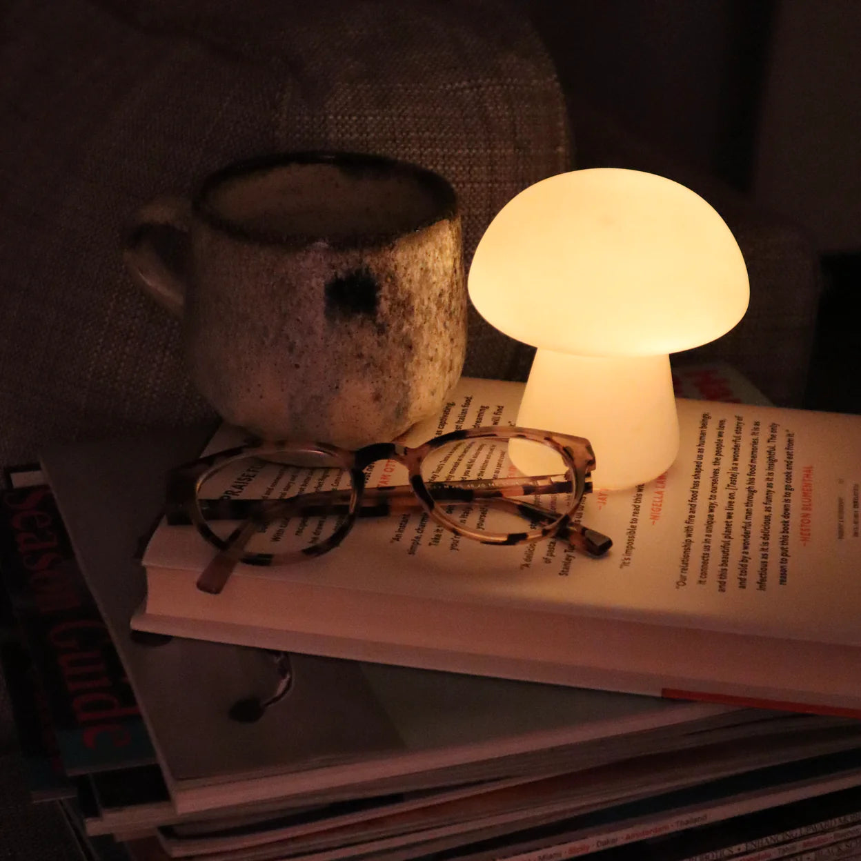 Kikkerland Medium Mushroom Light