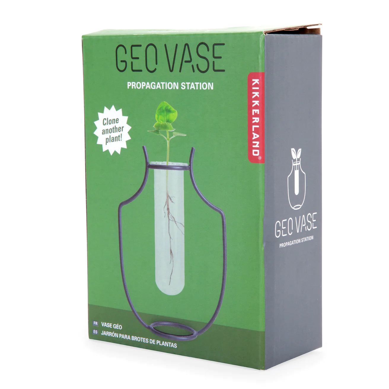 Kikkerland Geo Vase Propagation Station