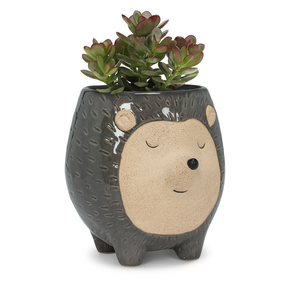 Hedgehog Planter