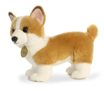 Miyoni Corgi