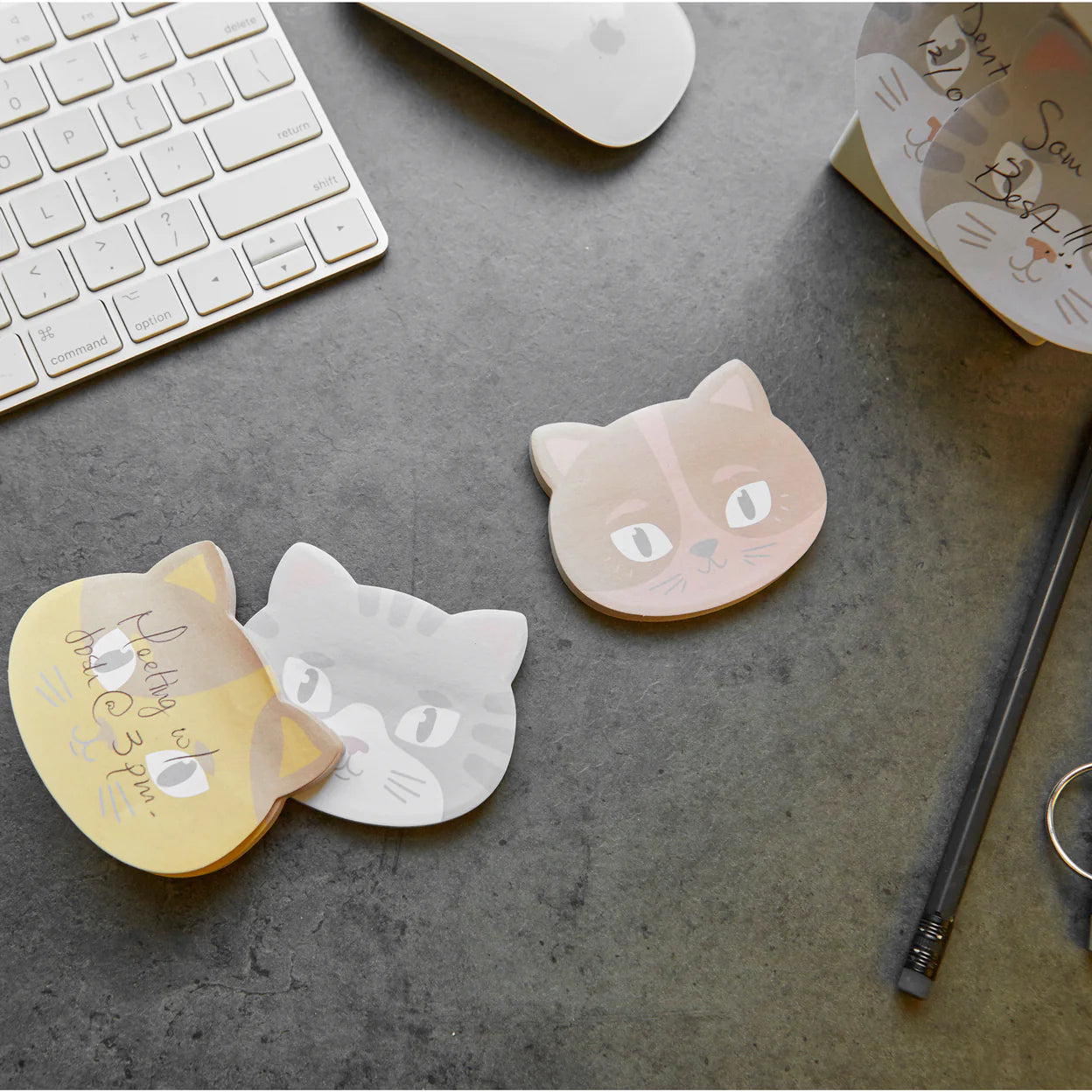 Kikkerland Kitty Cat Sticky Notes