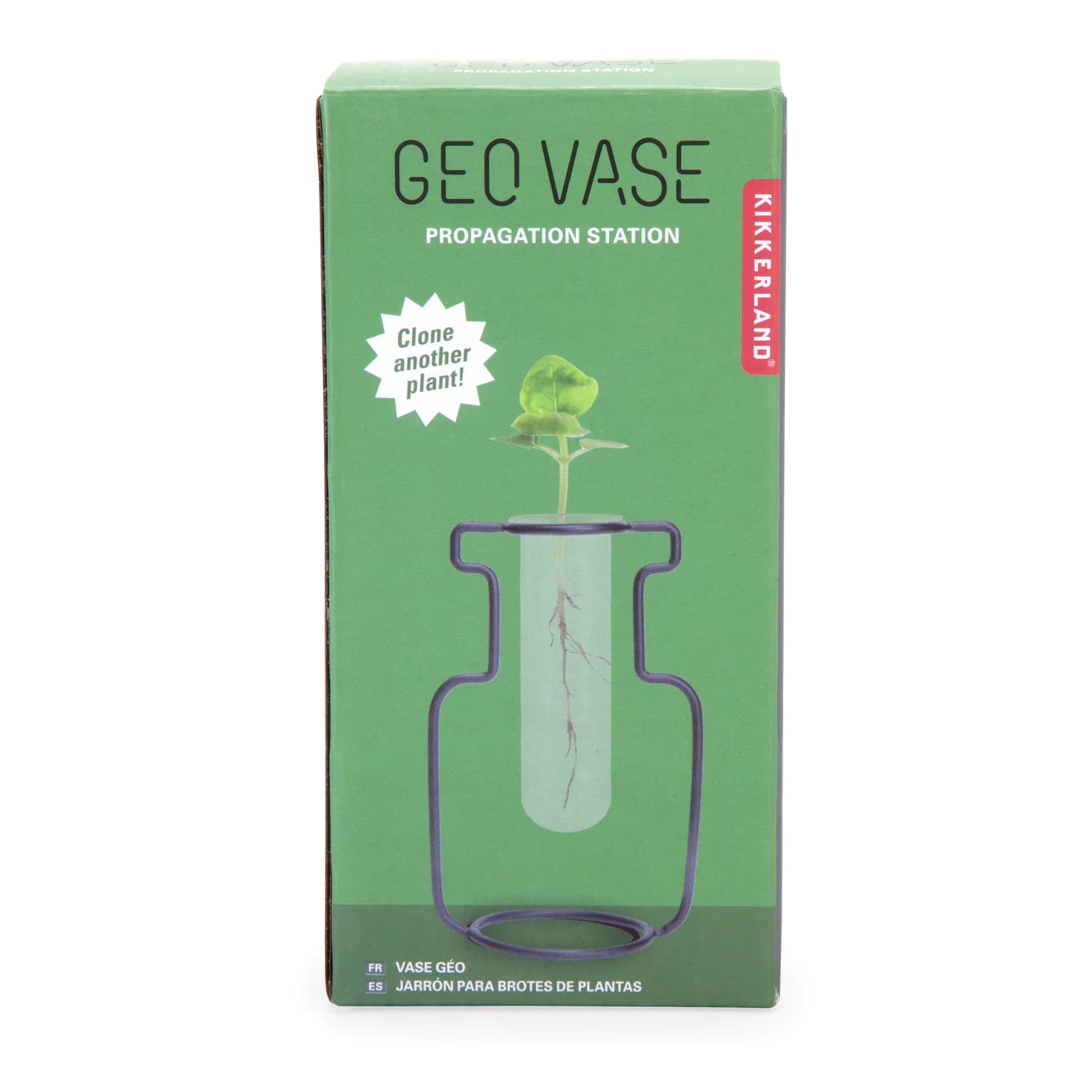 Kikkerland Geo Vase Propagation Station
