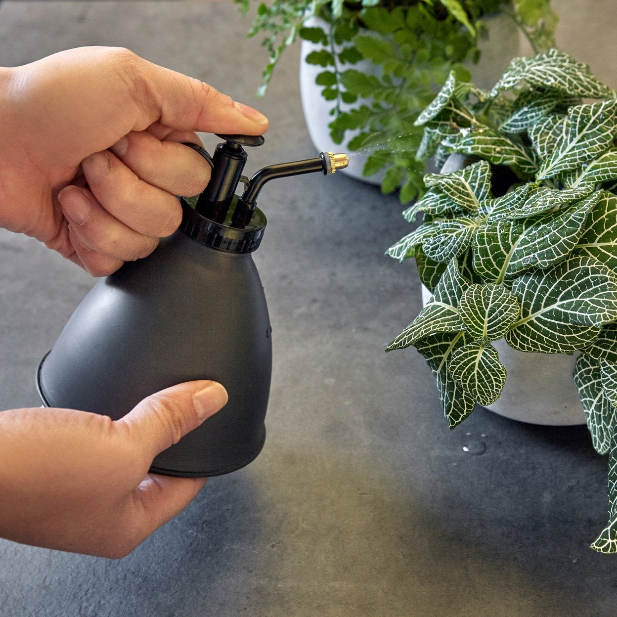 Kikkerland Plant Mister