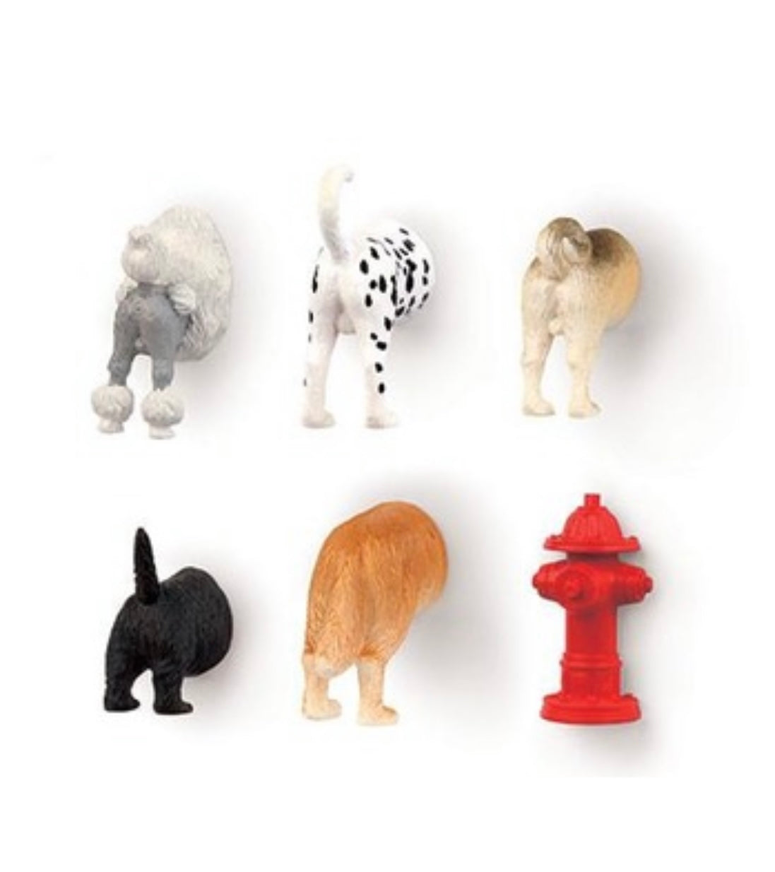 Kikkerland Dog Butt Magnets Set Of 6