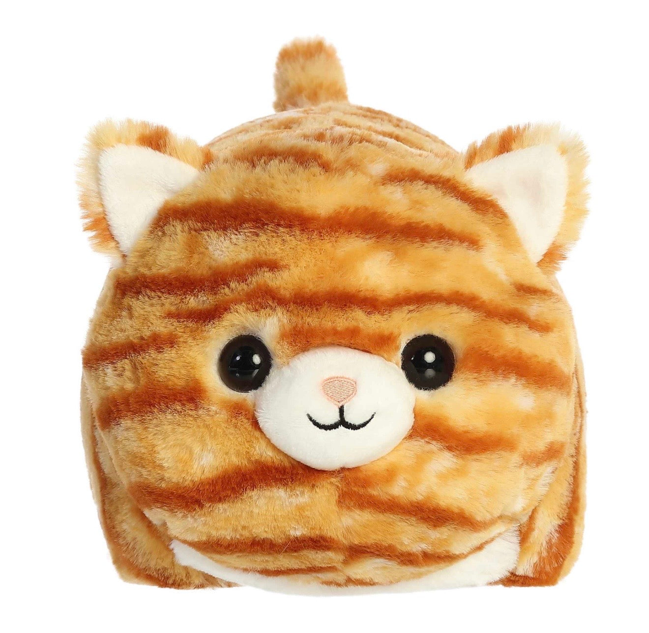 Spudsters Taco Orange Tabby